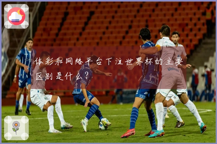 体彩和网络平台下注世界杯的主要区别是什么？