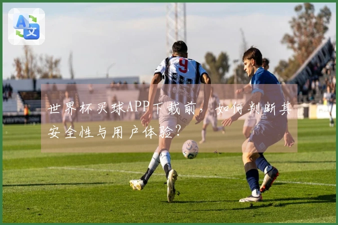 世界杯买球APP下载前，如何判断其安全性与用户体验？