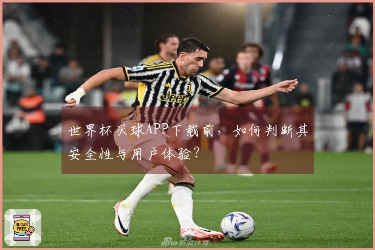 世界杯买球APP下载前，如何判断其安全性与用户体验？
