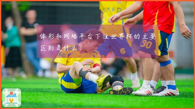 体彩和网络平台下注世界杯的主要区别是什么?